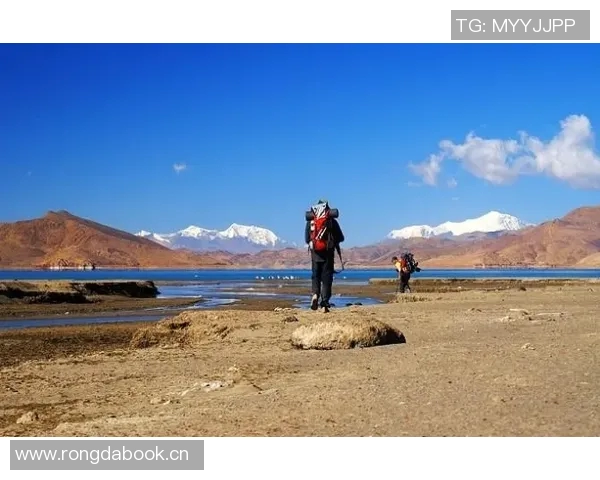 深度对话赵丽的排球人生与梦想追逐的心路历程